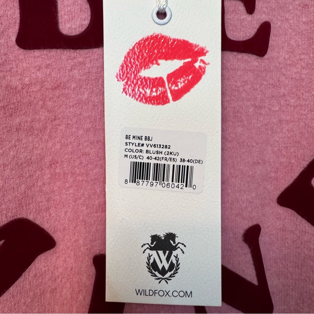NWT Wildfox Be Mine BBJ Sweatshirt - Picture 4 of 8